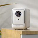 한국관복어집 | 개강한 대학생은 TMI 남발