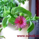 이엠한의원 이미지