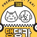 댕댕카 이미지
