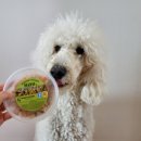 브라보 마이펫 이미지