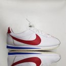 베스트운동화세탁 세교점 이미지