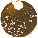 중앙수퍼 이미지