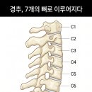일산테라피