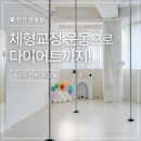 리브로그 | 천안 폴리브 폴댄스 후기, 체형교정 운동과 다이어트에 도움될까?