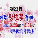 2013 전국 대표적인 4월 봄꽃축제 안내 이미지