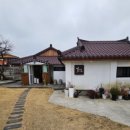 꽃메4281