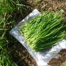 관악산현대홈타운 이미지