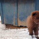 개네엄마 이미지