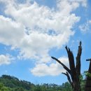 두미목장 이미지