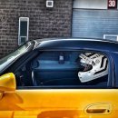 베스트랩 이미지