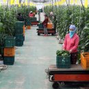 김성태 농장 이미지