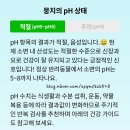 댕댕이와냥이 | 내향인 집사, 집에서 가능한 냥이 &amp; 댕댕이 소변 검사 'Cym702 Pet' 솔직 후기