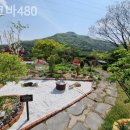 젤코바480 이미지