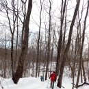 West Brook Mtn, Norvin Green State Forest (02/24/21) 이미지