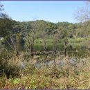 로하스 해피로드 이미지