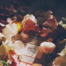 Full Love (A) 이미지