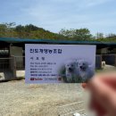 진도개영농조합 네이버블로그