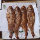 신양항 광장 | 추자도 올레길 18-2 대왕산황금길/굴비정식맛집 중앙식당