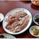 느티나무산장