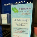 넥스트맘고양아가방 이미지