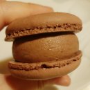 PETIQUE | 샤로수길마카롱 : 쁘띠크 / 진한 필링을 가진 마카롱 5입 후기