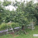 해광농장 이미지