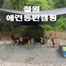 아트민박 | 철원 매일민박캠핑장 후기, 반려견과 함께한 강원도 애견동반캠핑 여행[내돈내산]