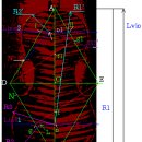 Construction of a contour and arch with use gold section by Dr. Vladislav Baginsky 이미지