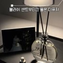부티크호텔풀문 | 블러쉬센트부티크 풀문 호텔오드우드 디퓨저&amp;석고방향제 후기