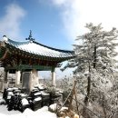 리얼야구존 원주단계점