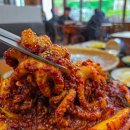 한길로 | 백운호수 맛집 맵시낙지, 밥 먹고 바로 산책길로 이어지는 코스 후기