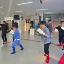 팀 몬스터 복싱 이미지