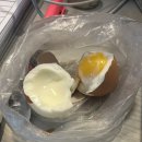 백자세탁소 | 5월 일상