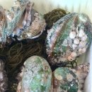 완도건어물 이미지