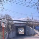 주문진생선 | 강릉 주문진 생선구이 백반 맛집 굴다리돌솥밥 두루치기 후기 아침식사 가능