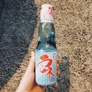 [BGM] 청량감 쩌는 일본 탄산 음료 이미지