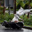 해안슈퍼 이미지