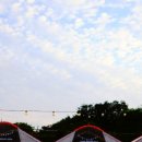 테하스랜드 글램핑장 이미지