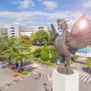 원광대학교전주한방병원 이미지