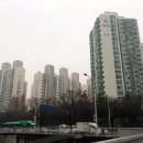 삼환나우빌아파트 앞도로 이미지
