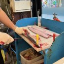 신선풍천장어 이미지