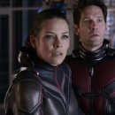 Antman and wasp Quantumania 이미지