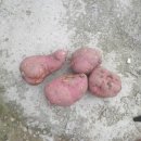 주형농장 이미지