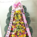 유복 이미지