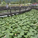 안성맞춤랜드공원2 이미지