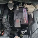 에코레이 이미지