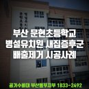 문현초등학교병설유치원 이미지