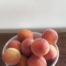 요가라이프 이미지