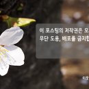 제이씨에스테틱/JC 이미지