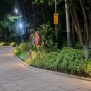 오목로4길 이미지